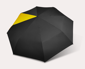 
                  
                    Load image into Gallery viewer, Sanplu Original Package
                  
                